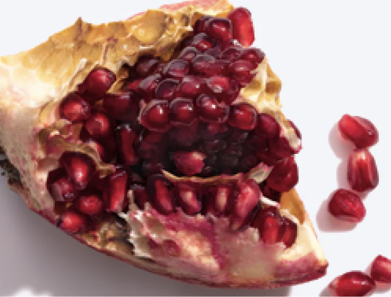 Close up of Pomegranate